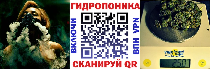 Купить закладку ГАШ  Конопля  COCAIN  Меф  Шахунья