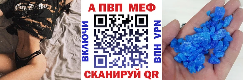 Купить закладки  Шахунья  Альфа ПВП СК КРИС 