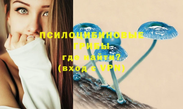 мдма Каменка